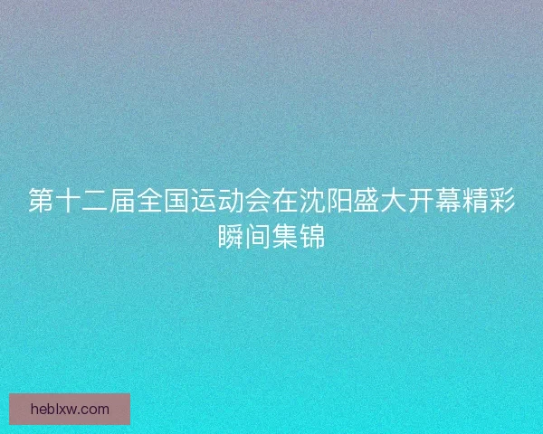 第十二届全国运动会在沈阳盛大开幕精彩瞬间集锦
