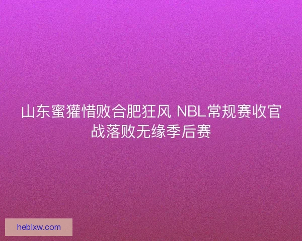山东蜜獾惜败合肥狂风 NBL常规赛收官战落败无缘季后赛